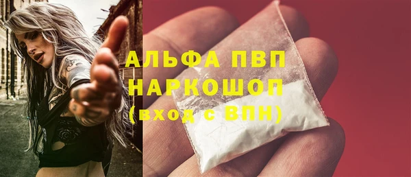 PSILOCYBIN Белокуриха