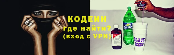 PSILOCYBIN Белокуриха