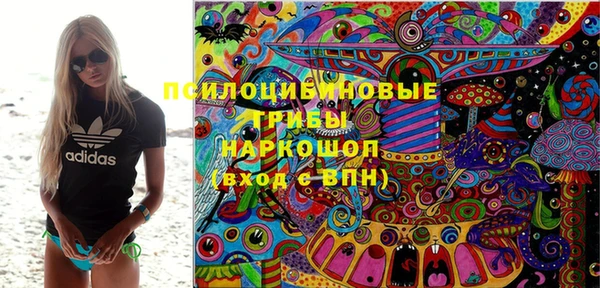 PSILOCYBIN Белокуриха