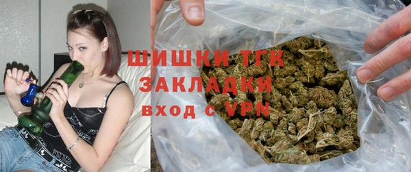 PSILOCYBIN Белокуриха