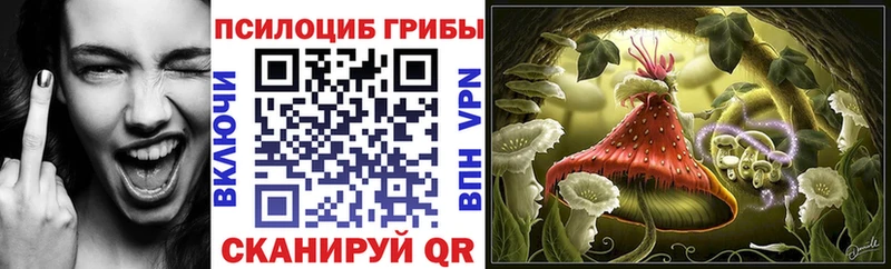 Галлюциногенные грибы прущие грибы  наркотики  Окуловка 